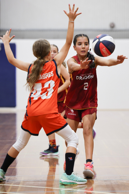 Camberwell Dragons