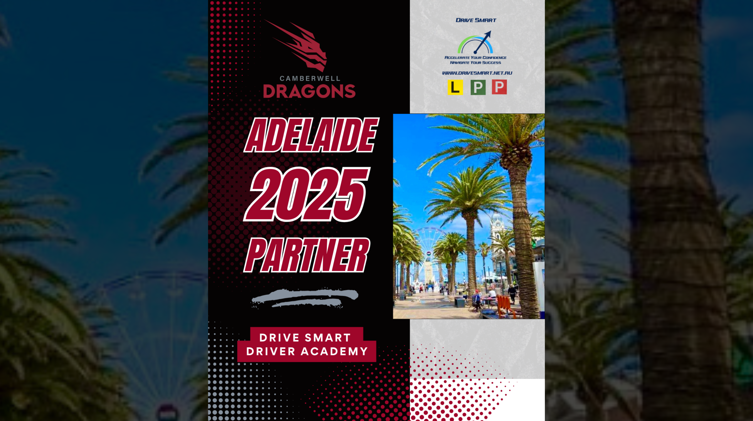 Driving the Dragons
