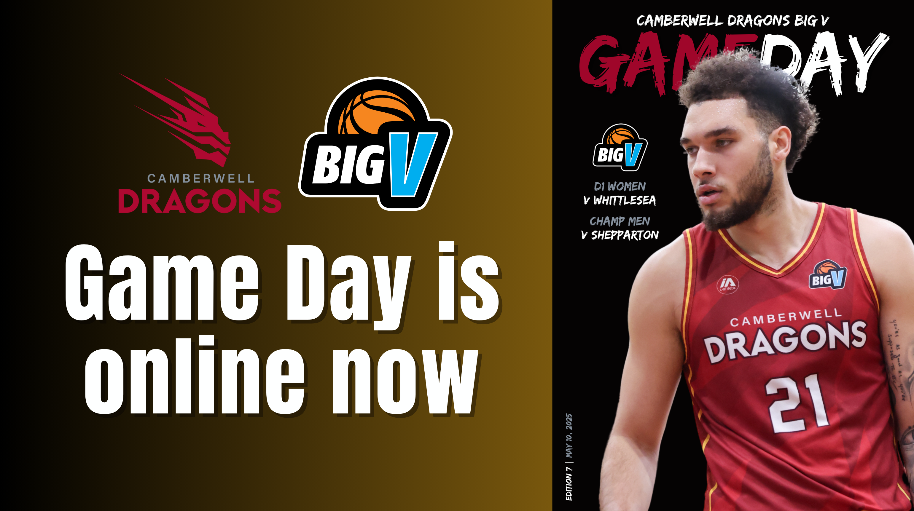 Dragons Game Day