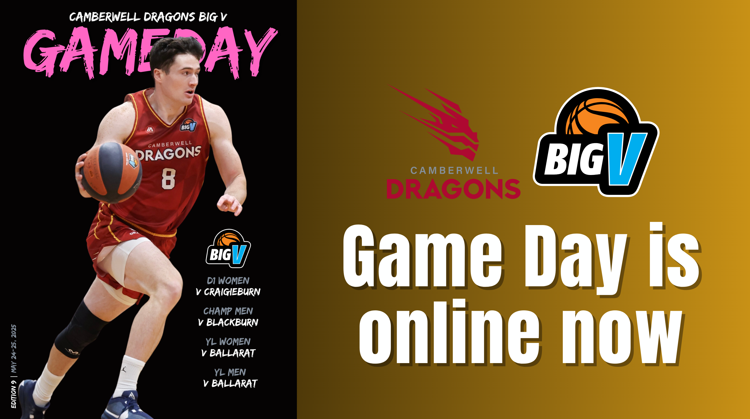 Dragons Game Day