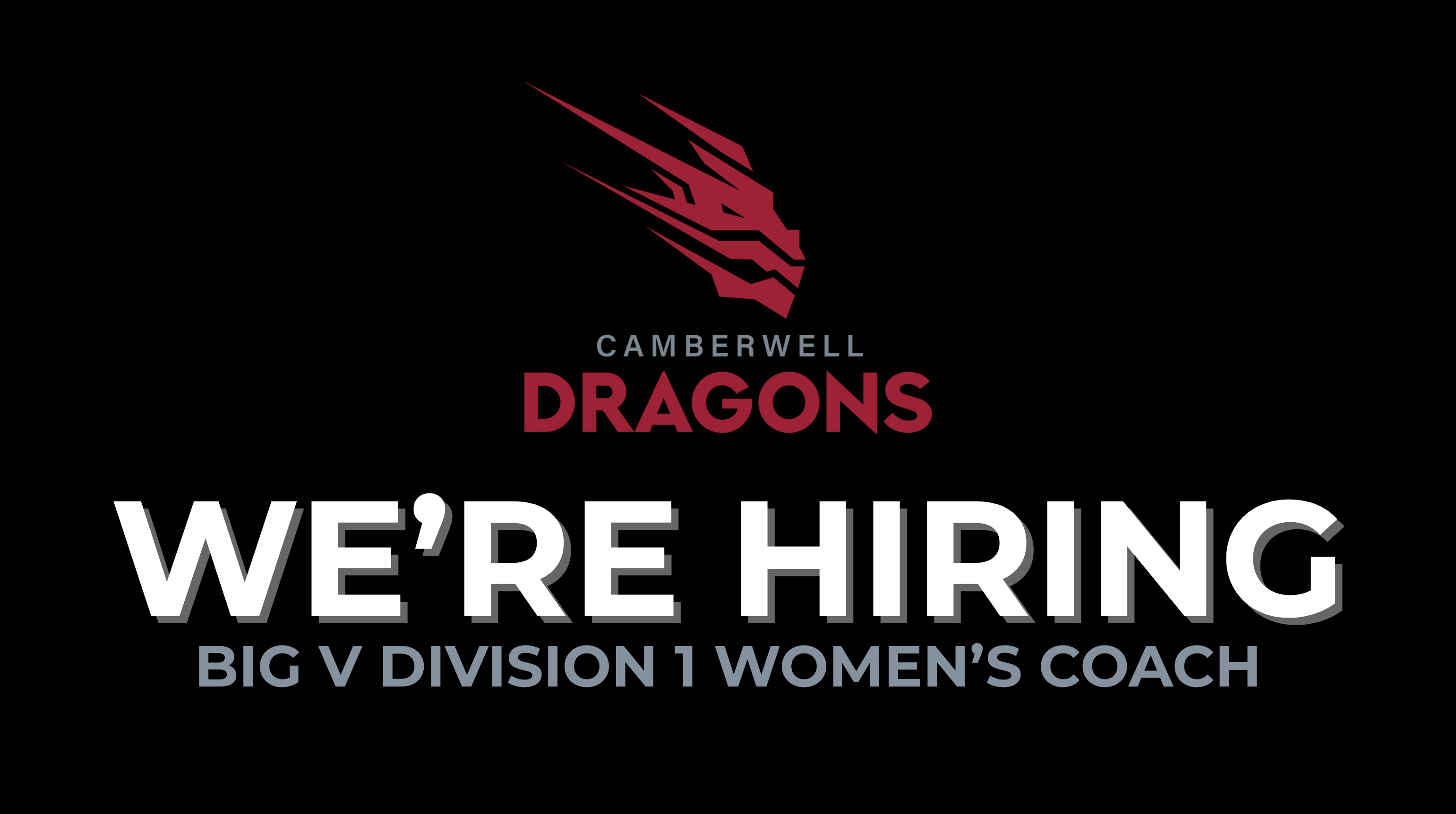 Drive Our Dragons